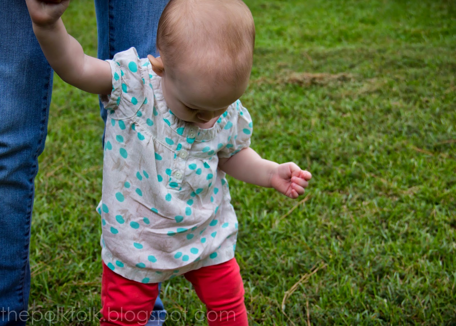 The Polk Folk LIKE A KITTEN IN MITTENS