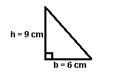 triangulos perpendicular