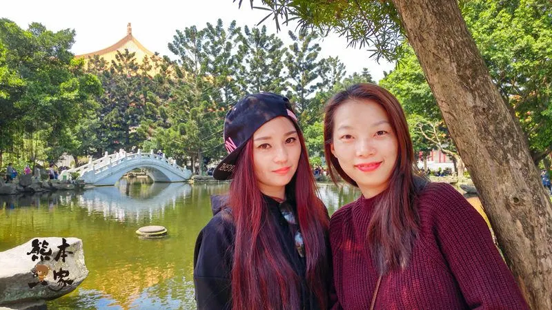 中正紀念堂櫻花花況3月28日拍攝|中正紀念堂賞櫻地圖|原生櫻花區-大漁櫻-山櫻花-重瓣緋寒櫻