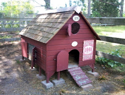 chicken coop lean plans coops easy cute chickens brooder makeover duck grow things hens poultry building diy deciding consider build
