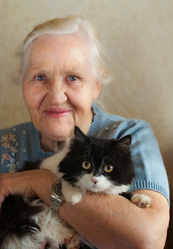 Old Woman With Cats - An Old Woman And Her Cat Summary