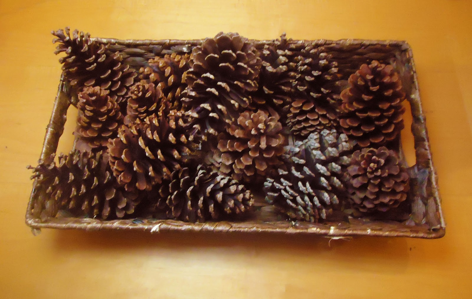 Frugal Home Design Scented Pine Cone Tutorial