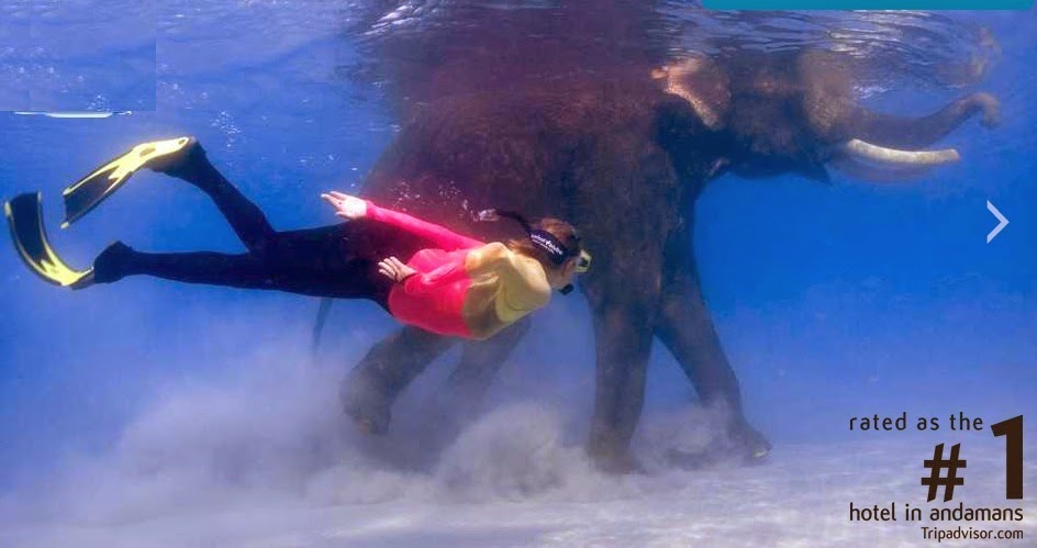 Snorkeling with Elephant, Barefoot at Andaman