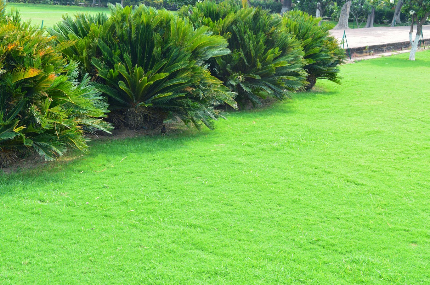 Create Your Own Garden Design Free Create Your Own Garden Design Free