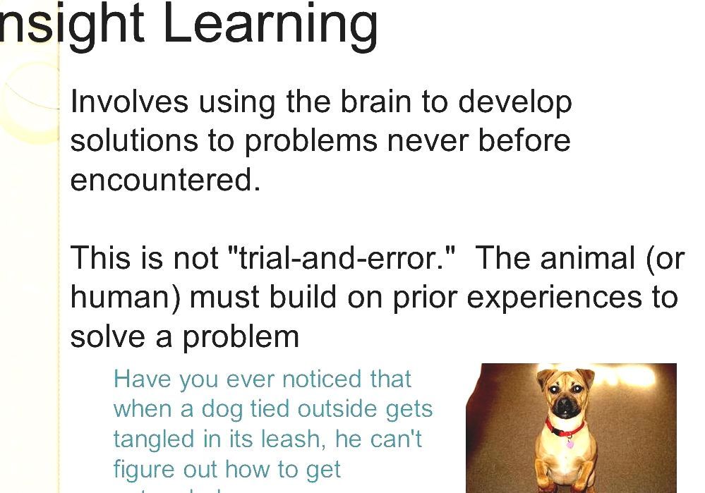 trial and error learning psychology