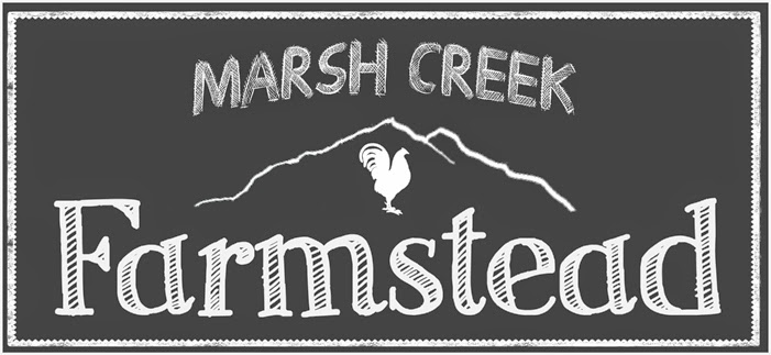 Marsh Creek Farmstead