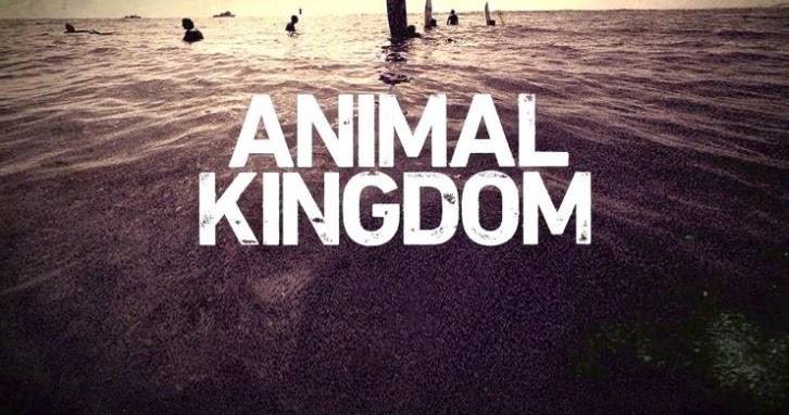 Animal Kingdom - Episode   - Press Release