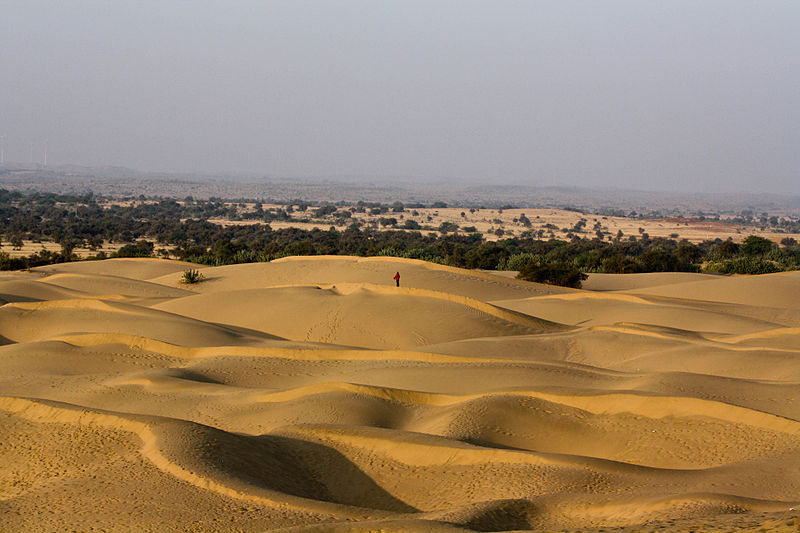INDIA SAIJIKI.. (WKD INDIA) Thar desert
