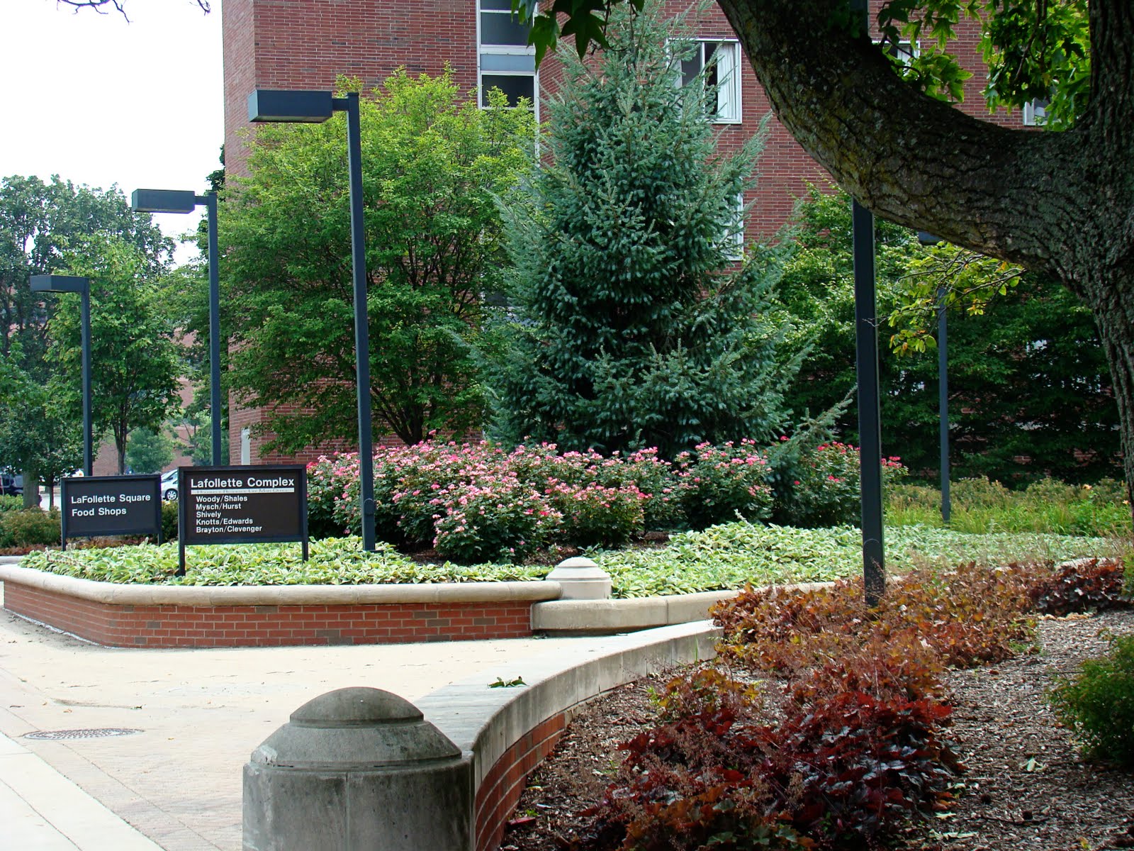 Rurification Robin Edmundson Ball State University