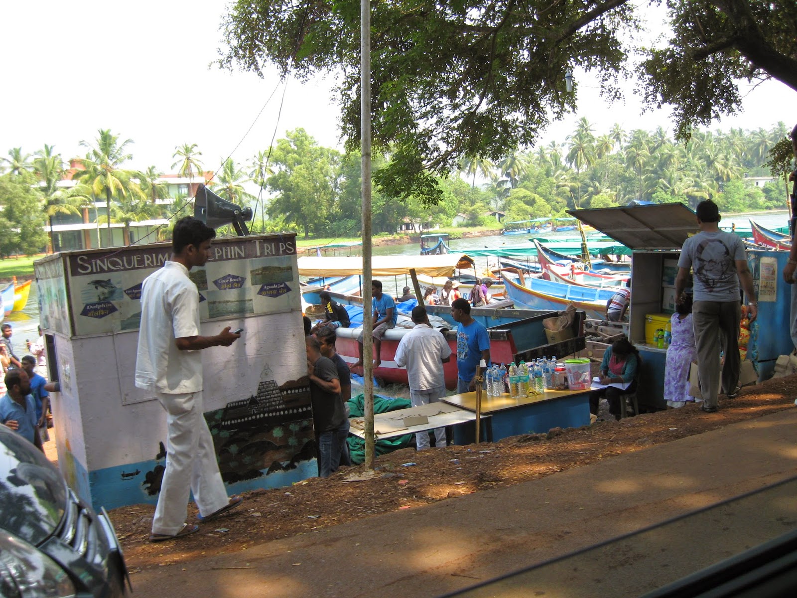 Sinquerim Dolphin trips
