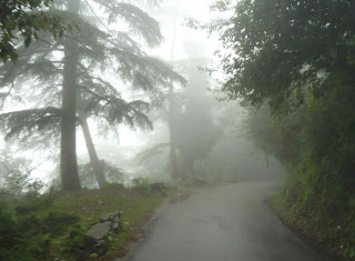 Cloud forests Fog Forest