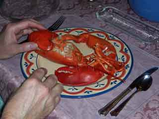 Lobster claws removed