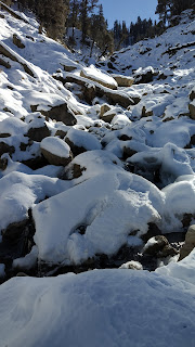 Kedarkantha trek in uttarakhand guide