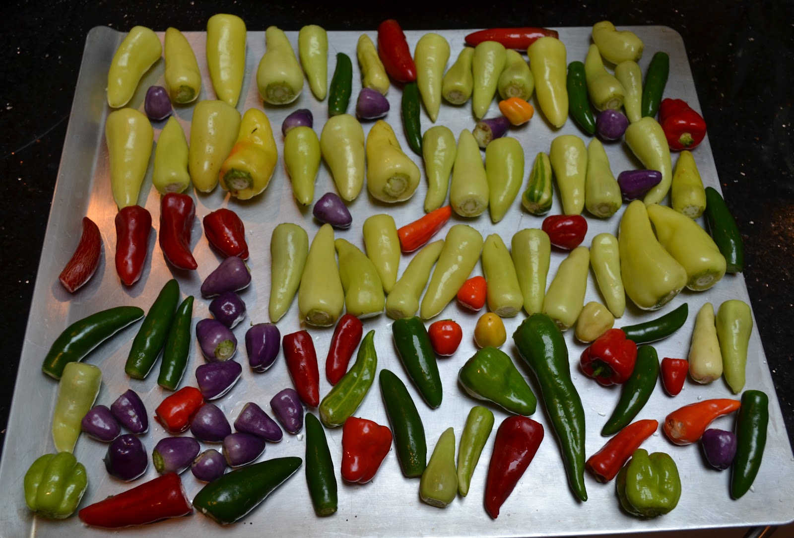 Growing Days Preserving a Peck of Potent Peppers.