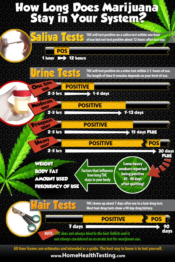 Quit Smoking Weed Infographic How To Quit Smoking Weed Forever Your Best Guide