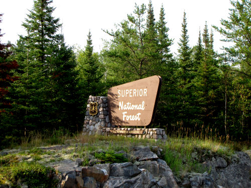 Superior National Forest