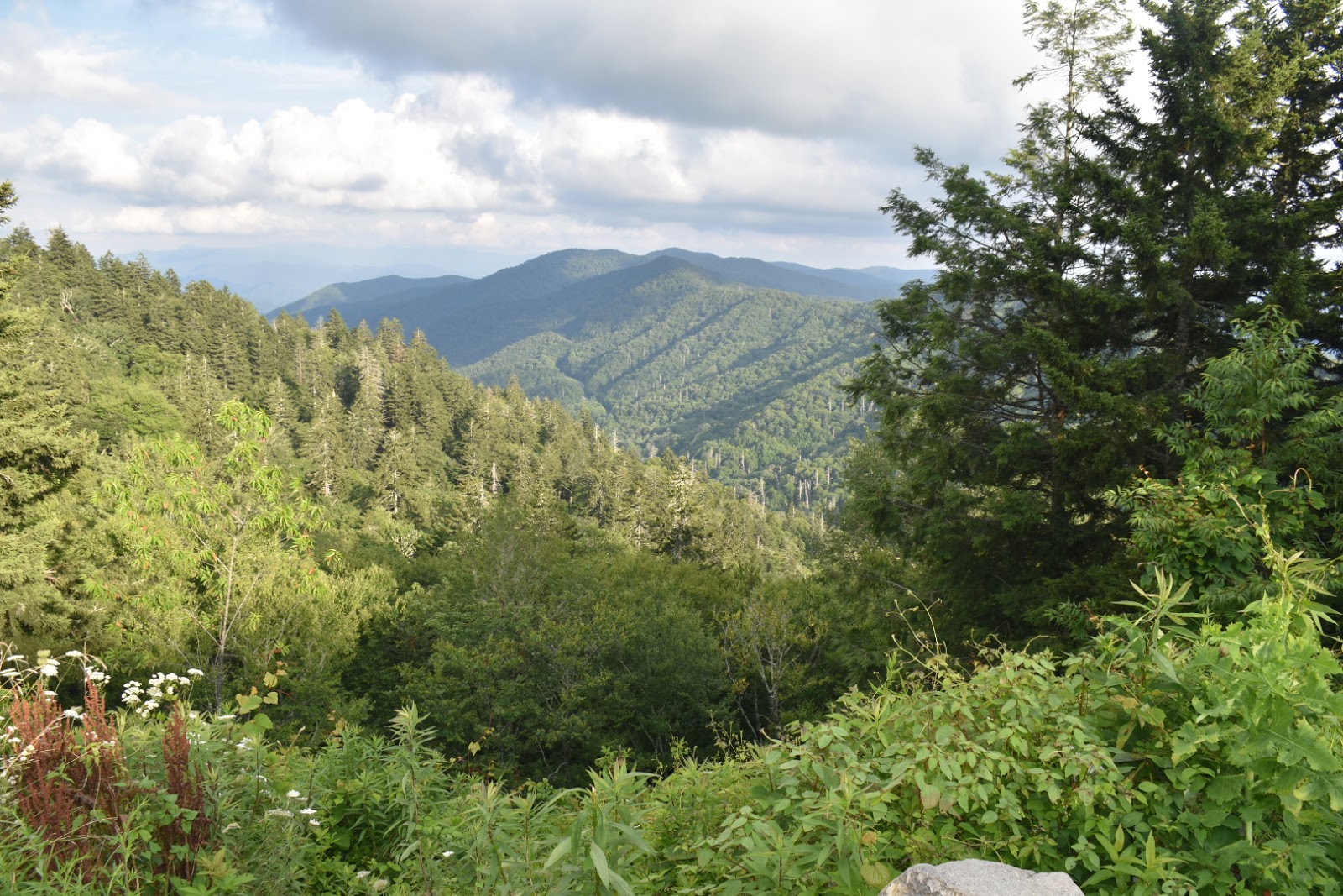 The Great Smoky Mountains in Tennessee