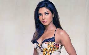 Priyanka Chopra Hot Hd Wallpaper Collection 15