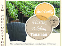 Menyelamatkan Sawit dari Gangguan Babi Hutan