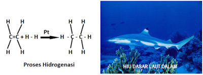 Deep Squalane - www.infojagakesehatan.blogspot.co.id - isman