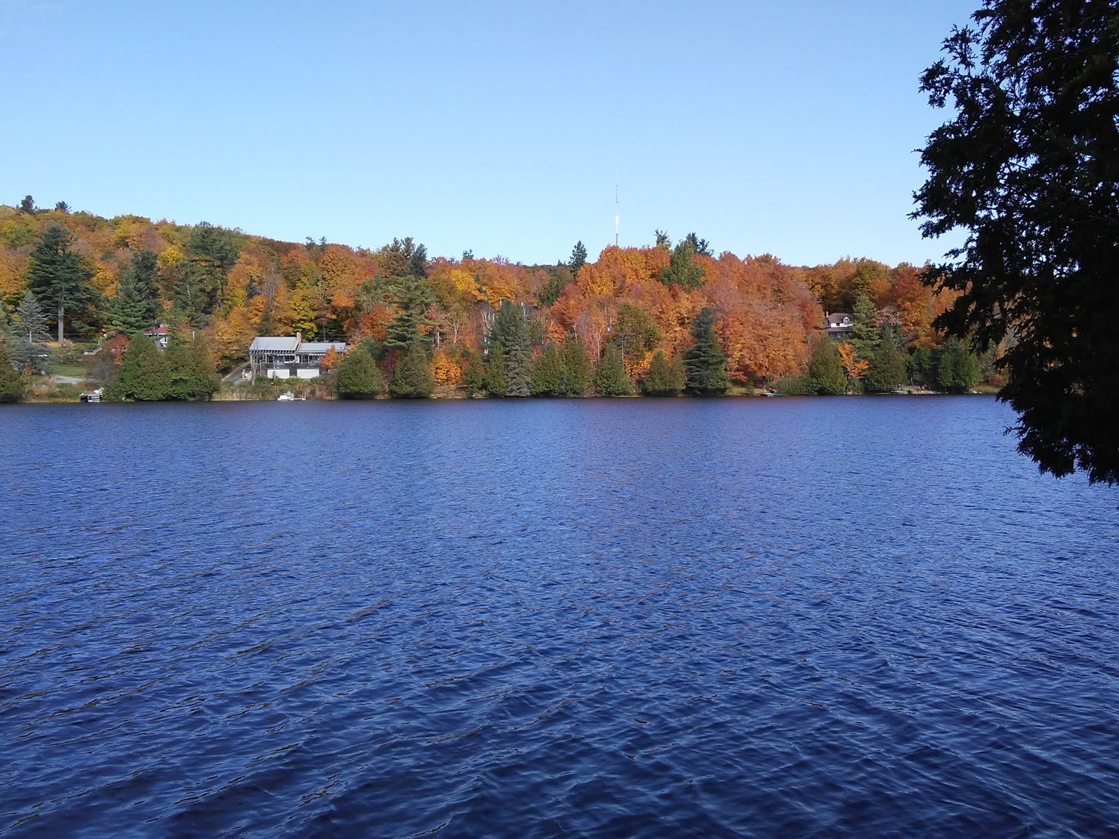 Ottawa Daily Photo: Kingswood And Kingsmere Lake
