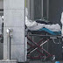 Salud: Detectan el primer caso de coronavirus en Estados Unidos