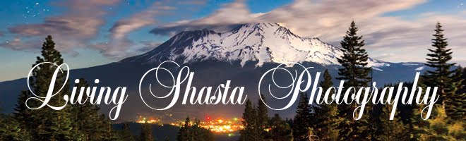 Living Shasta Photography on the go!