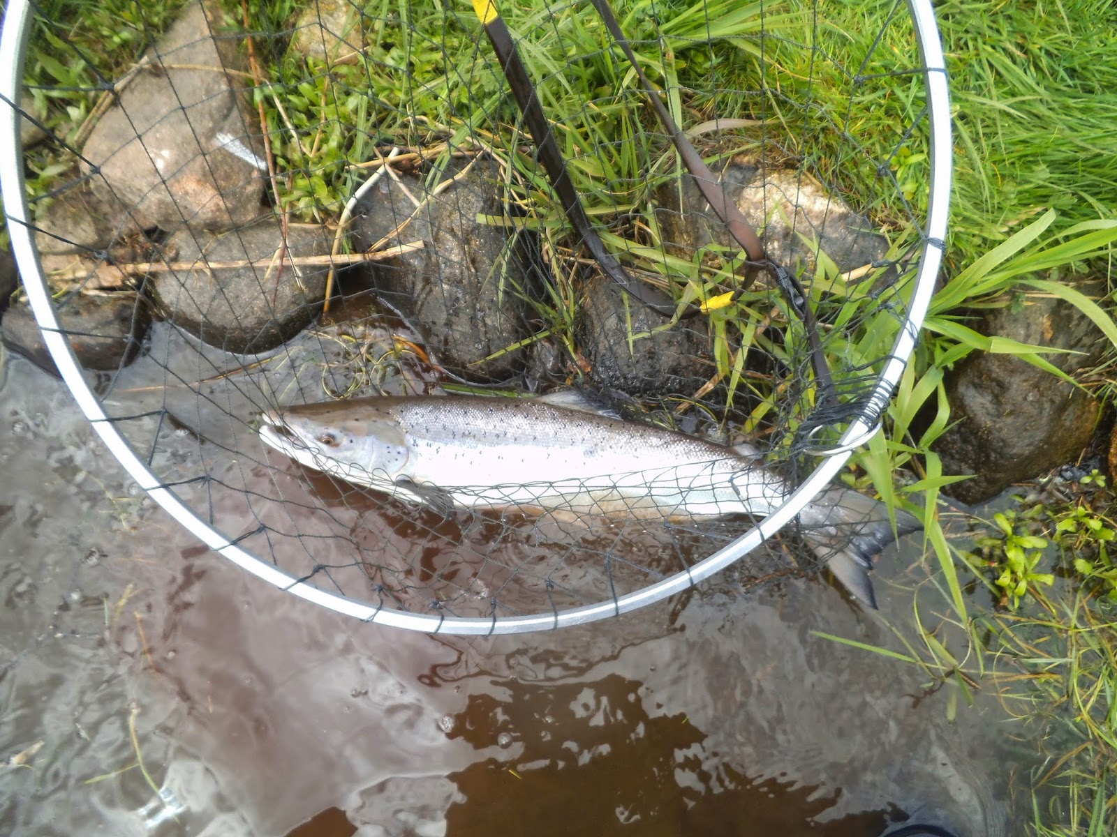 Dee & Don Salmon Fishing Manar River Don