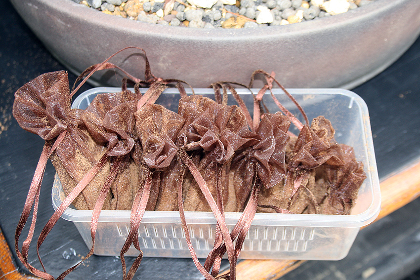 Little Cornish Trees Bonsai Bags Fertilising made easy