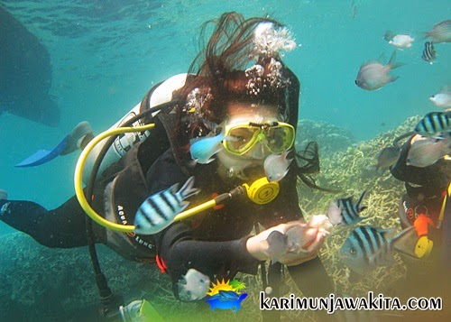 diving enjoy the underwater karimunjawa