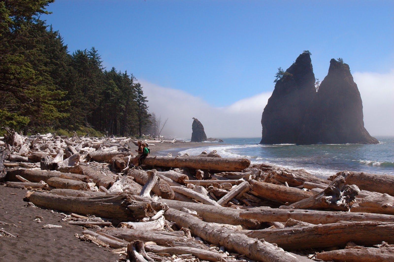 Olympic National Park Information