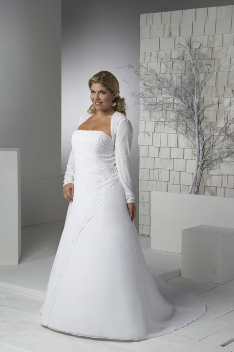The Perfect Wedding: Long sleeves chiffon Aurora wedding dress