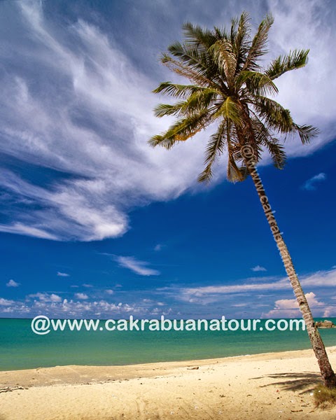 objek wisata Pantai Teluk Uber Bangka tour objek wisata Pantai Teluk Uber Bangka tour