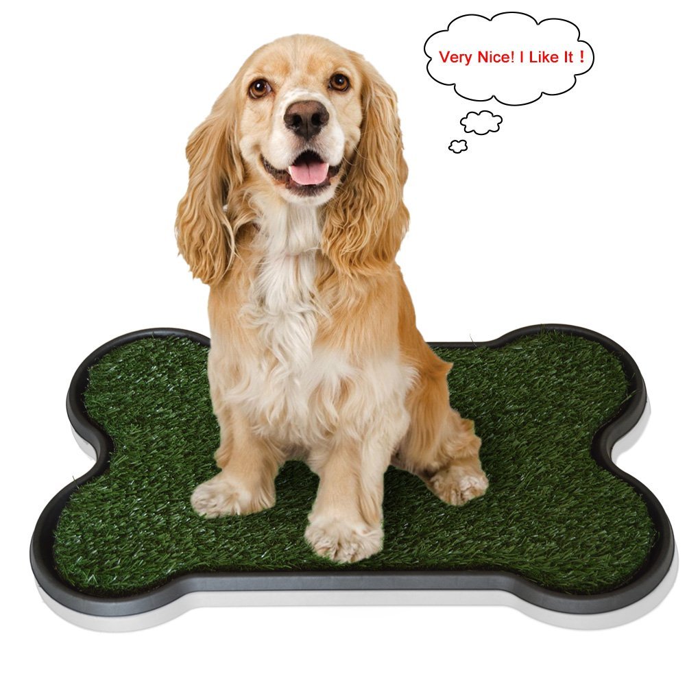 Indoor Pet Potty Patch Views and More