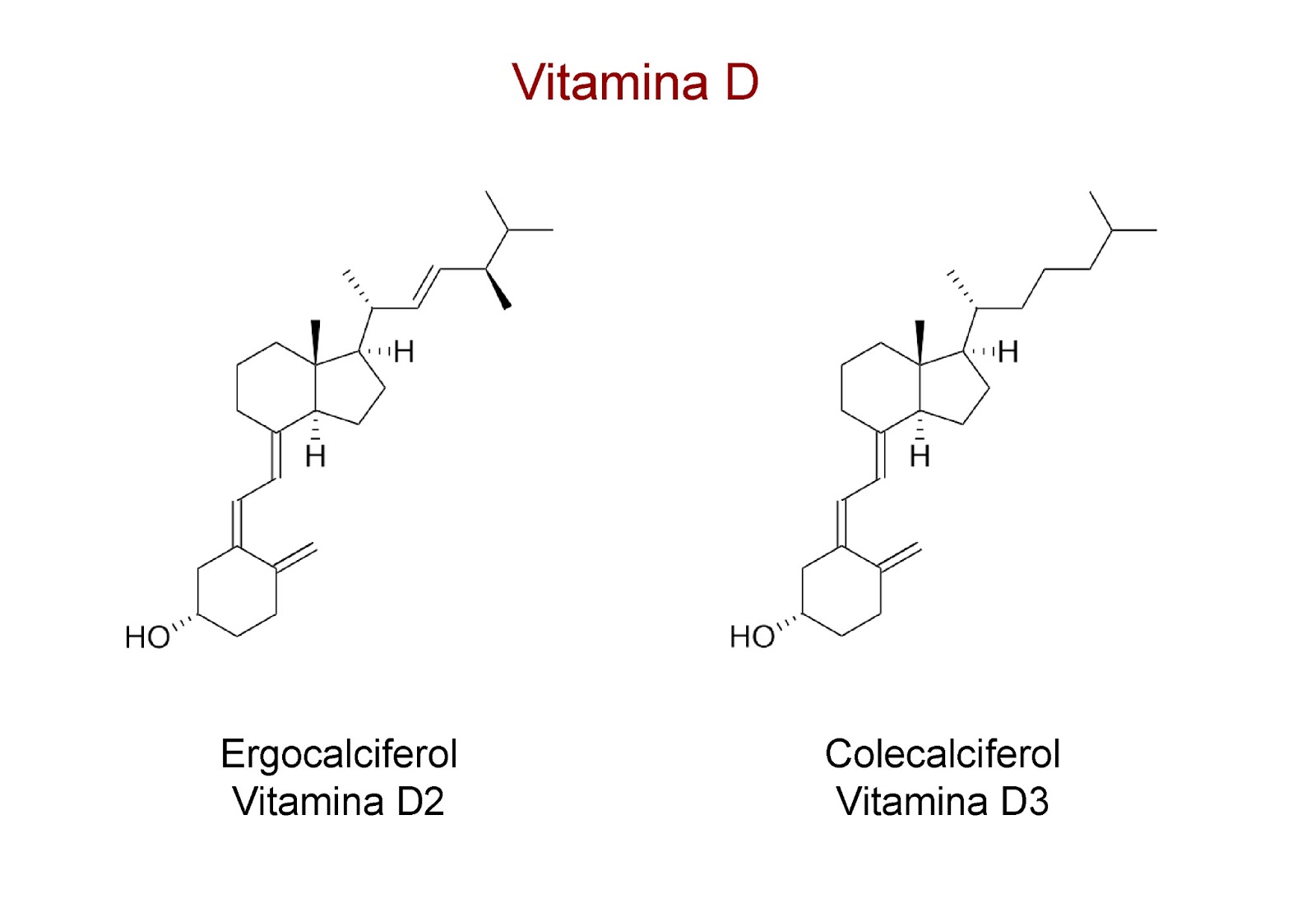 Hormonas La vitamina D de mis huesos Hormonas La vitamina D de mis huesos