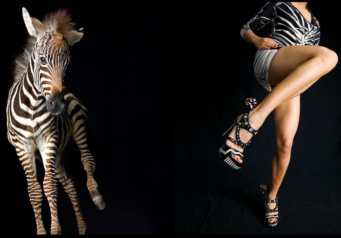 Lennette Newell | Naturalista fotógrafo de moda