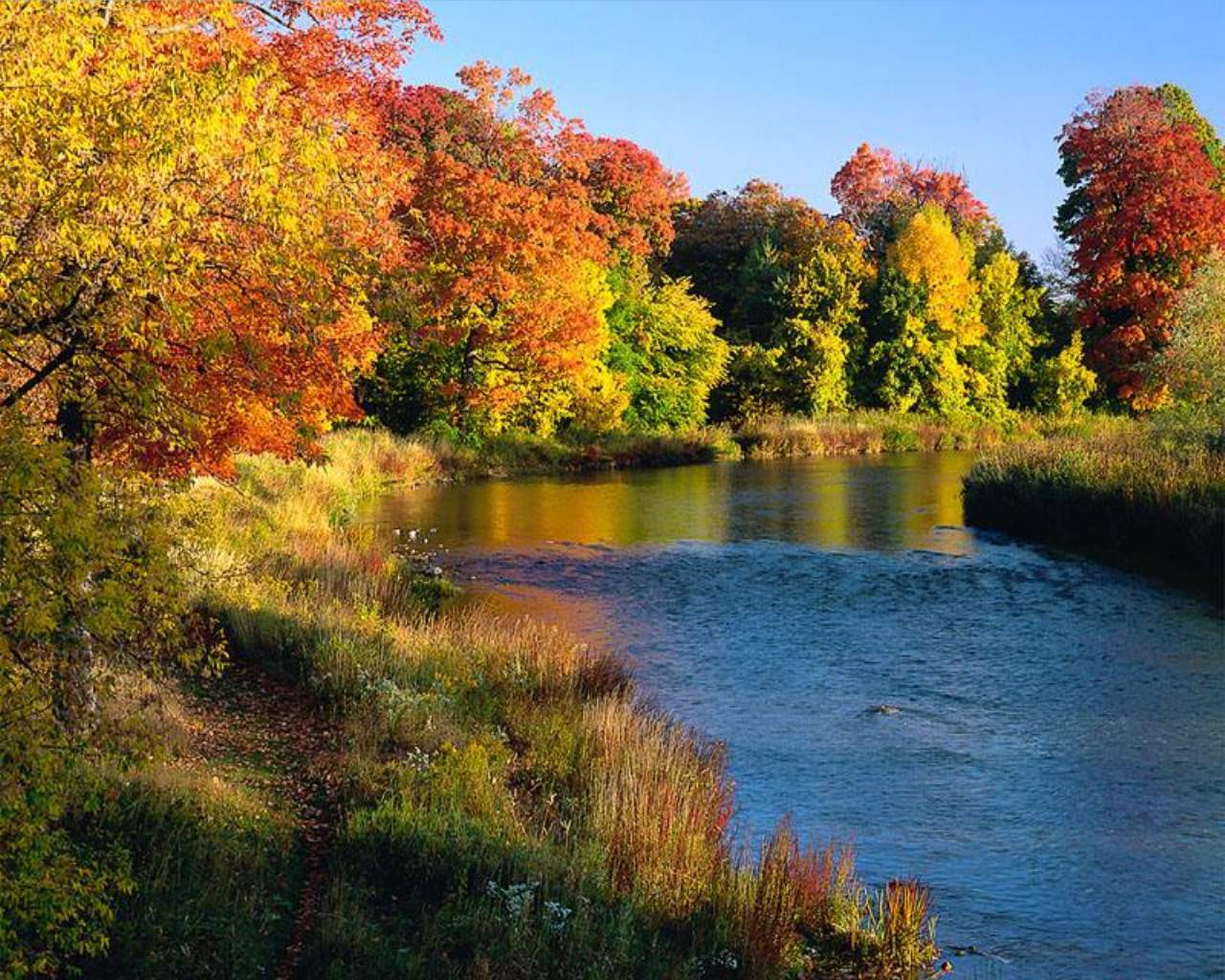 The Wright Wreport: A Most Perfect Thirst Quencher for Indian Summer