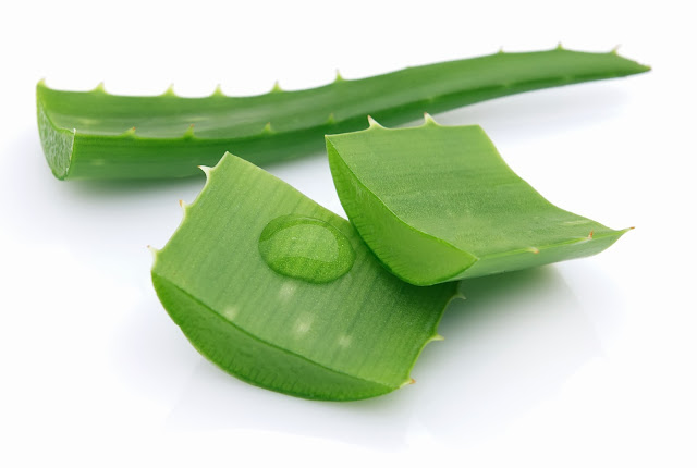 Aloe Vera - Reviva Clinic