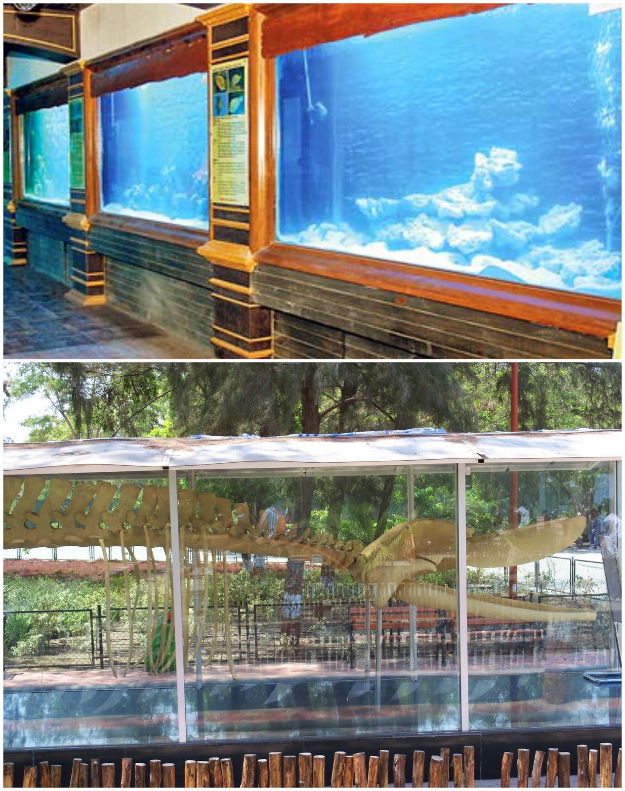 Surat aquarium View Surat aquarium View
