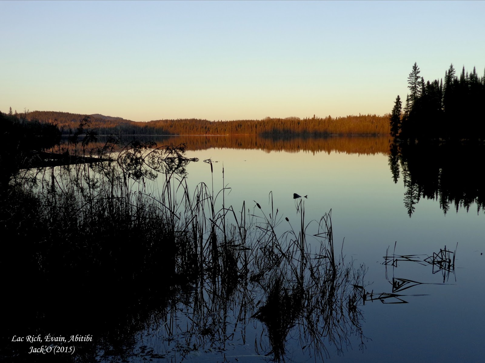 L'OEIL AU VERT Lac Rich, Évain, RouynNoranda. Novembre 2015.