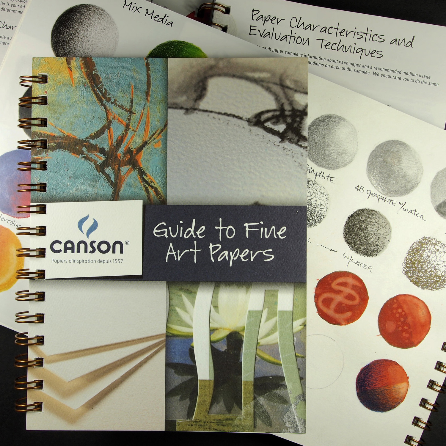 Moynahan Studio Ottawa Art School Fair Canson Papers