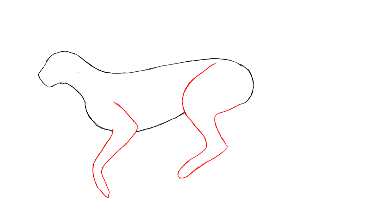 How To Draw A Cheetah Draw Central