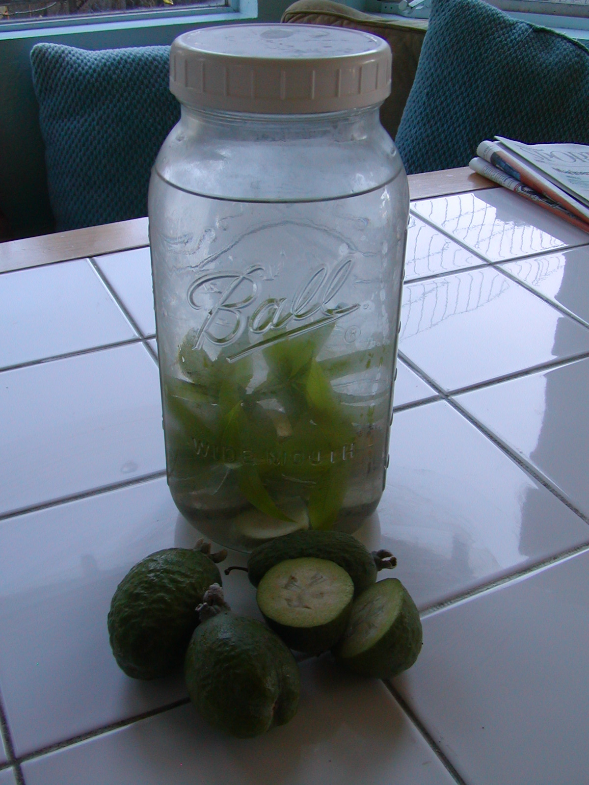 Laurie's Little Kitchen Pineapple Guavas or Feijoas