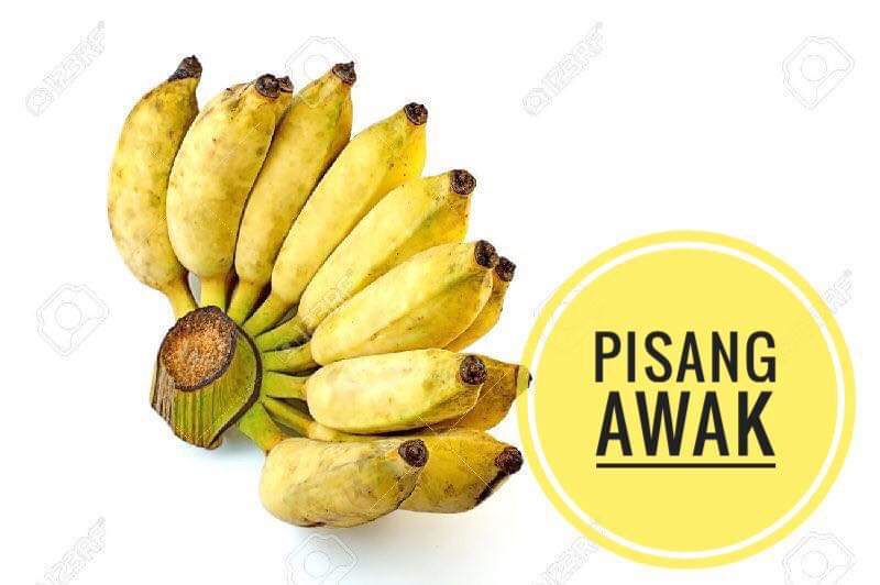 Kerang pisang Warna Hijau