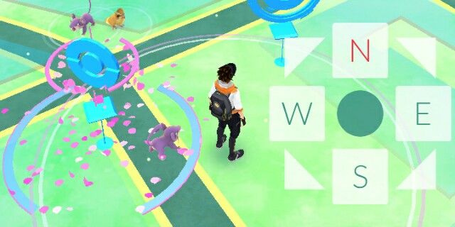 Pokemon GO Controls Pokemon GO Controls