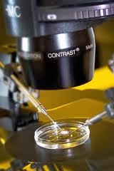 http://www.mannatfertility.com/Intra-Cytoplasmic-sperm-Injection-ICSI.php