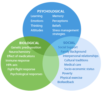 The Bio-Psycho-Social Model