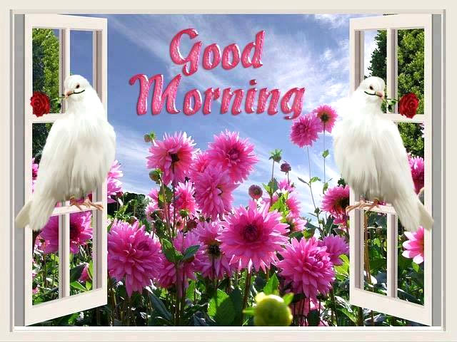 Image result for good morning images
