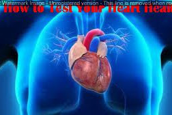 4 How to Test Your Heart Health