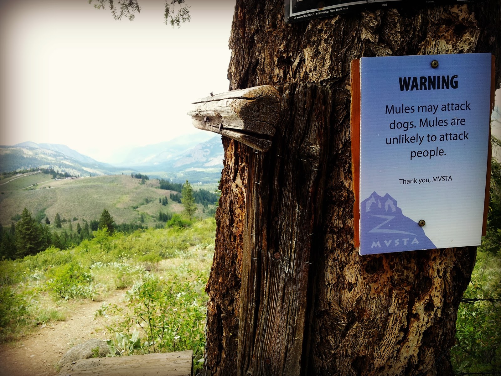 Marblemount Homestead Best kidfriendly hikes and bike rides in the